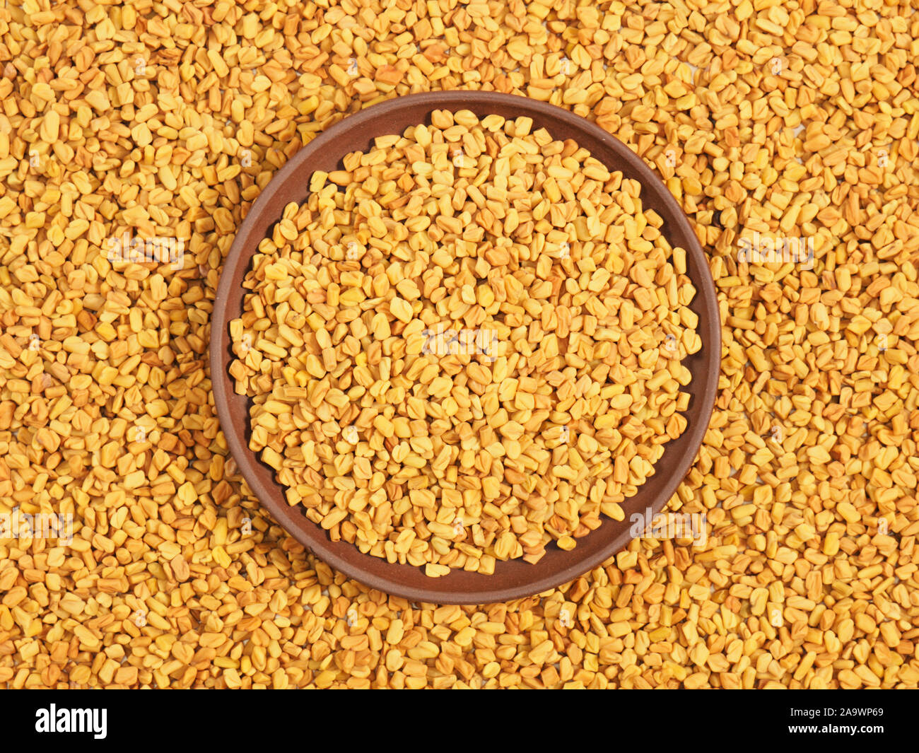 Fenugreek in clay plate. Background from Fenugreek. Indian cuisine