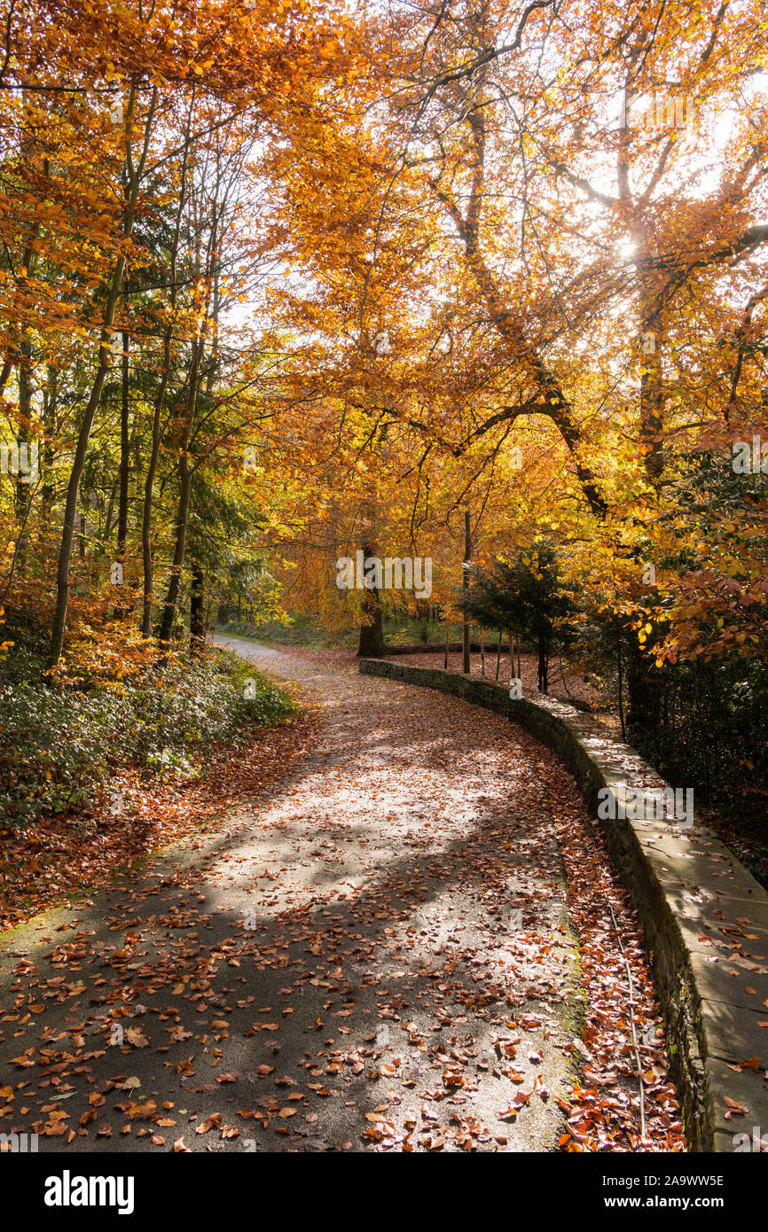 Autumn colours along the riverside walk in Durham City, Co. Durham, England, UK Stock Photo