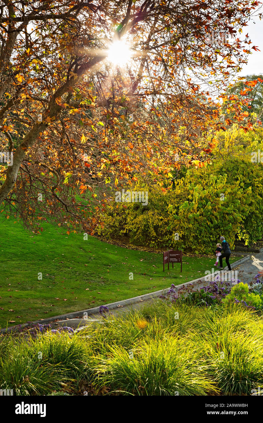 Hobart Australia / The Royal Tasmanian Botanaical Gardens in Hobart,Tasmania. Visitors exploring the Hobart Botanical Gardens.The RTBG established in Stock Photo