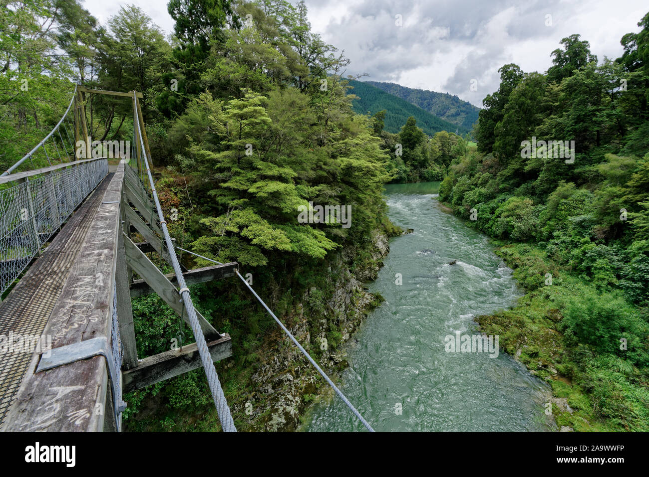 Rai river swing bridge over the Rai river below, at Pelorus, Marlborough, New Zealand. Stock Photo