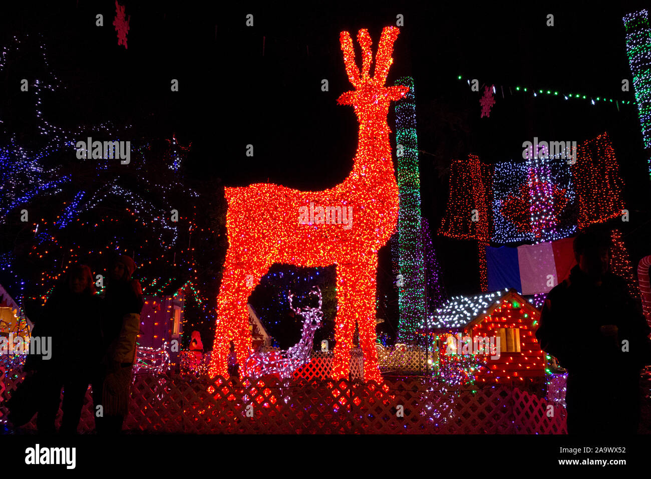 Stanley Park Vancouver Christmas displays with a big red reindeer in
