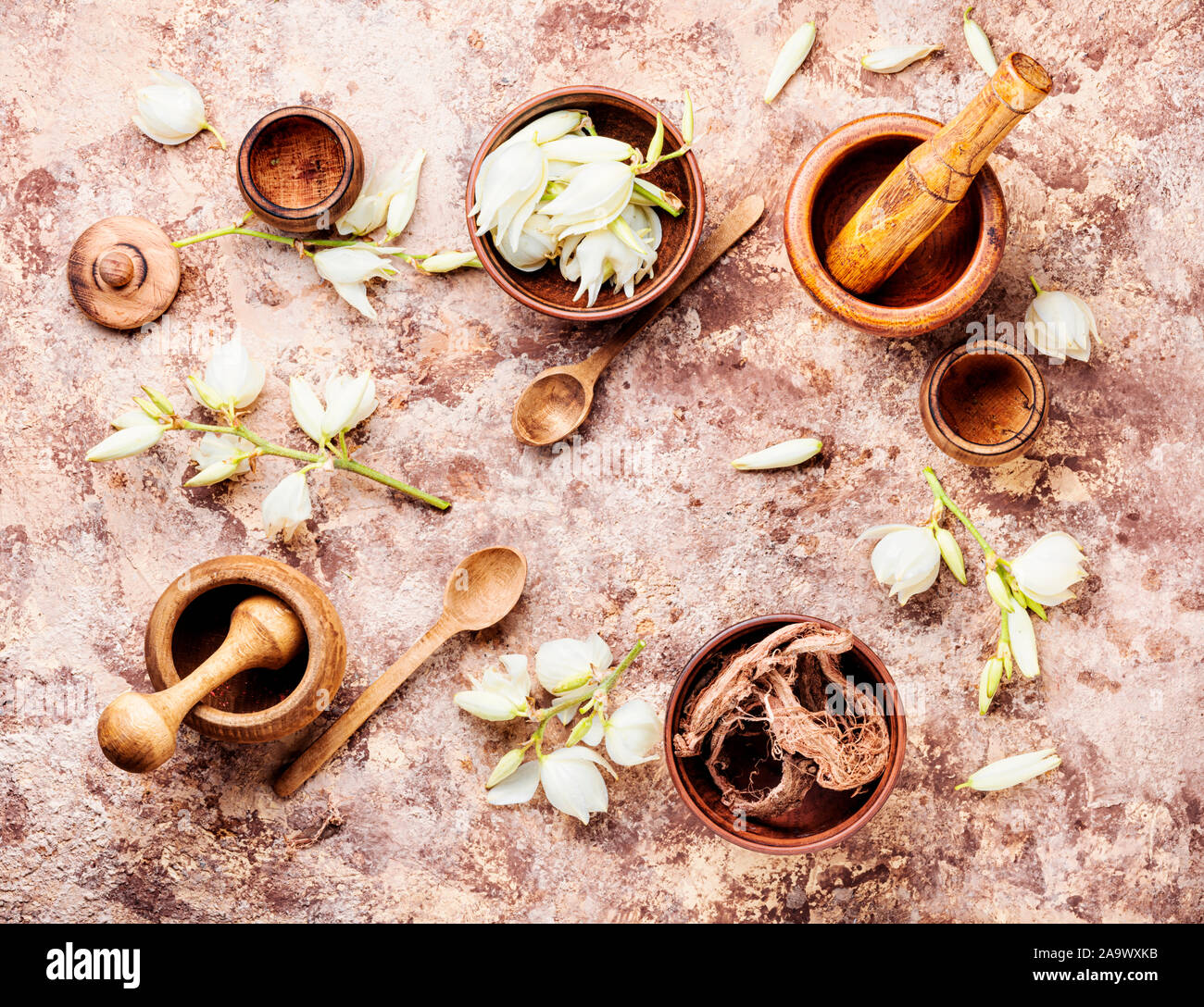 Yucca in herbal medicine.Mortar and bowl of healing herbs.Natural medical herbs Stock Photo