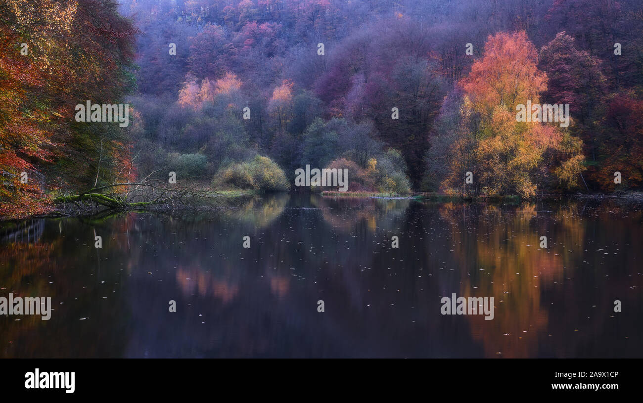 Image of pond reflecting trees hi-res stock photography and images - Alamy