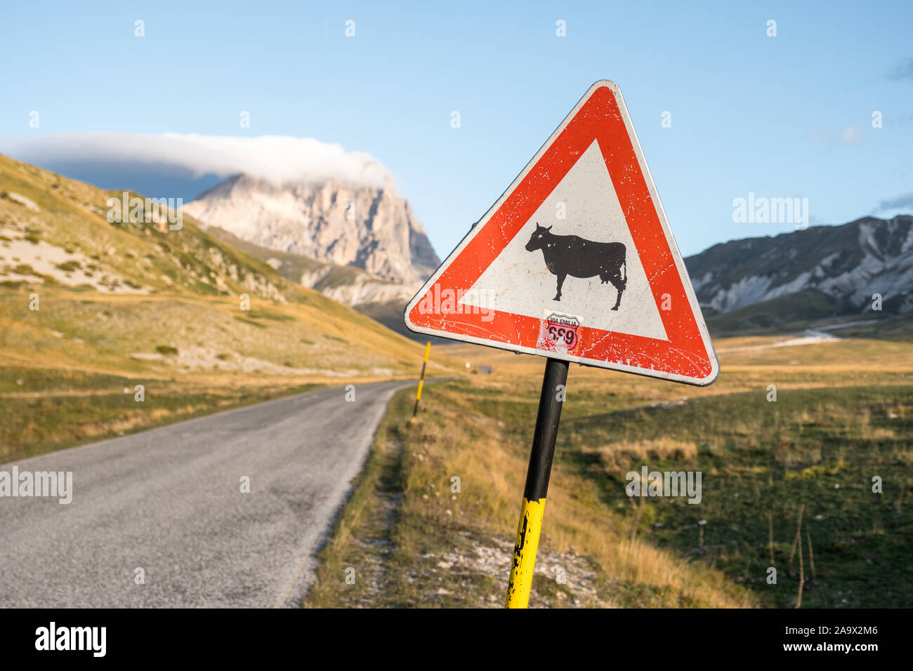 Trafficsign Animal crossing with black cow on  white with red frame on campo imperatore with mountain corno grande in background, Abruzzo, Italy Stock Photo