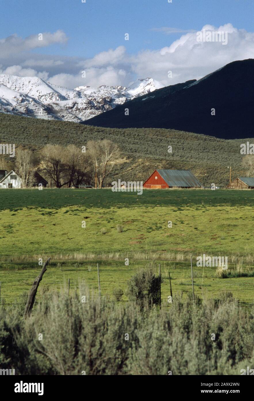 view of the Ruby mountains, NV from the pastures in the valley with an old wooden red barn Stock Photo