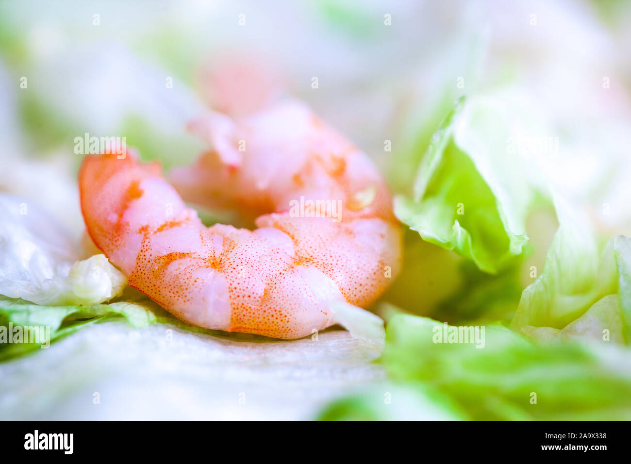 Delicious caesar with argentinian shrimps closeup. North american cuisine restaurant dish, menu item. Tasty salad with natural seafood. Organic lunch, Stock Photo