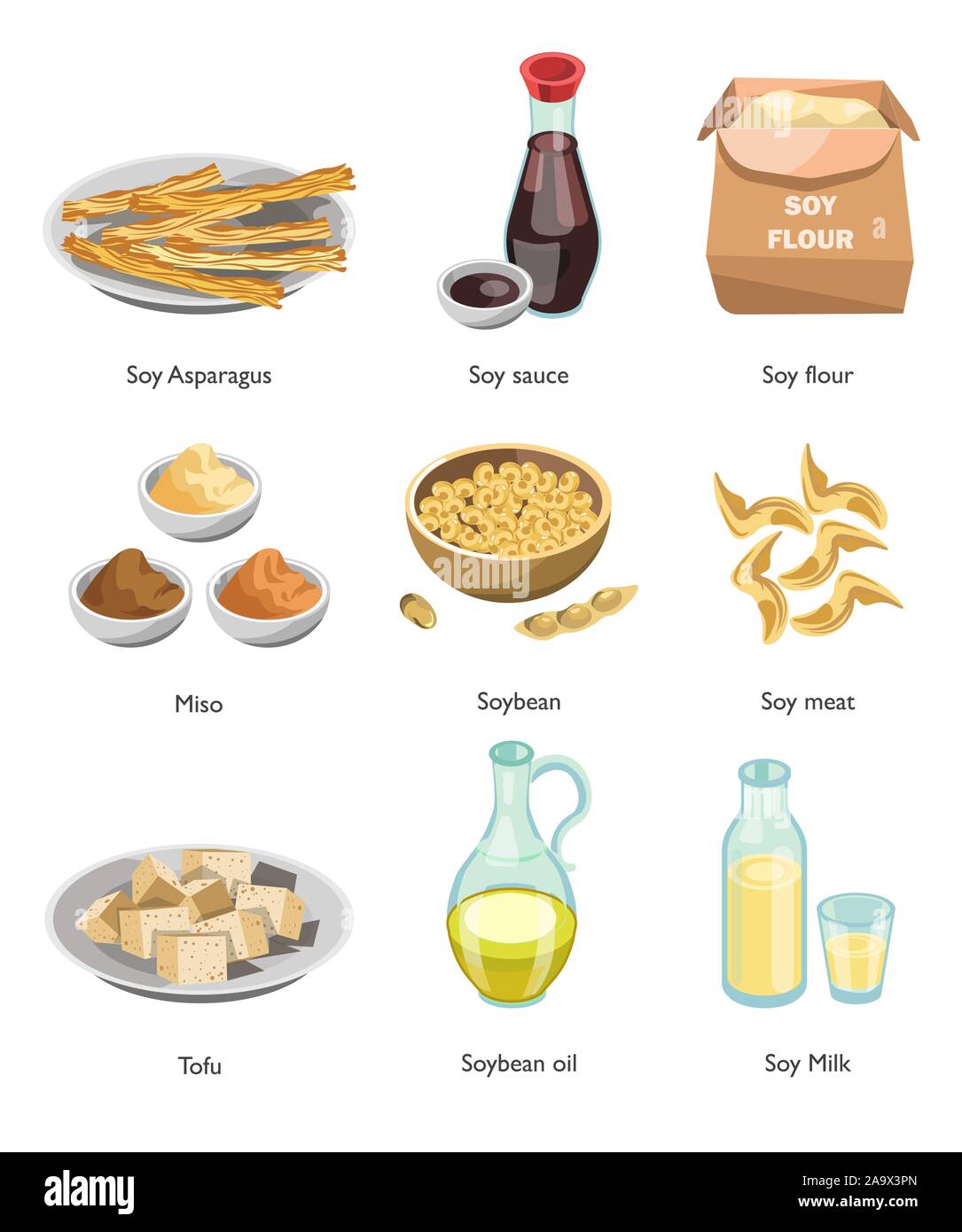 Vegan menu, soy food, cooking ingredient, isolated dishes Stock Vector