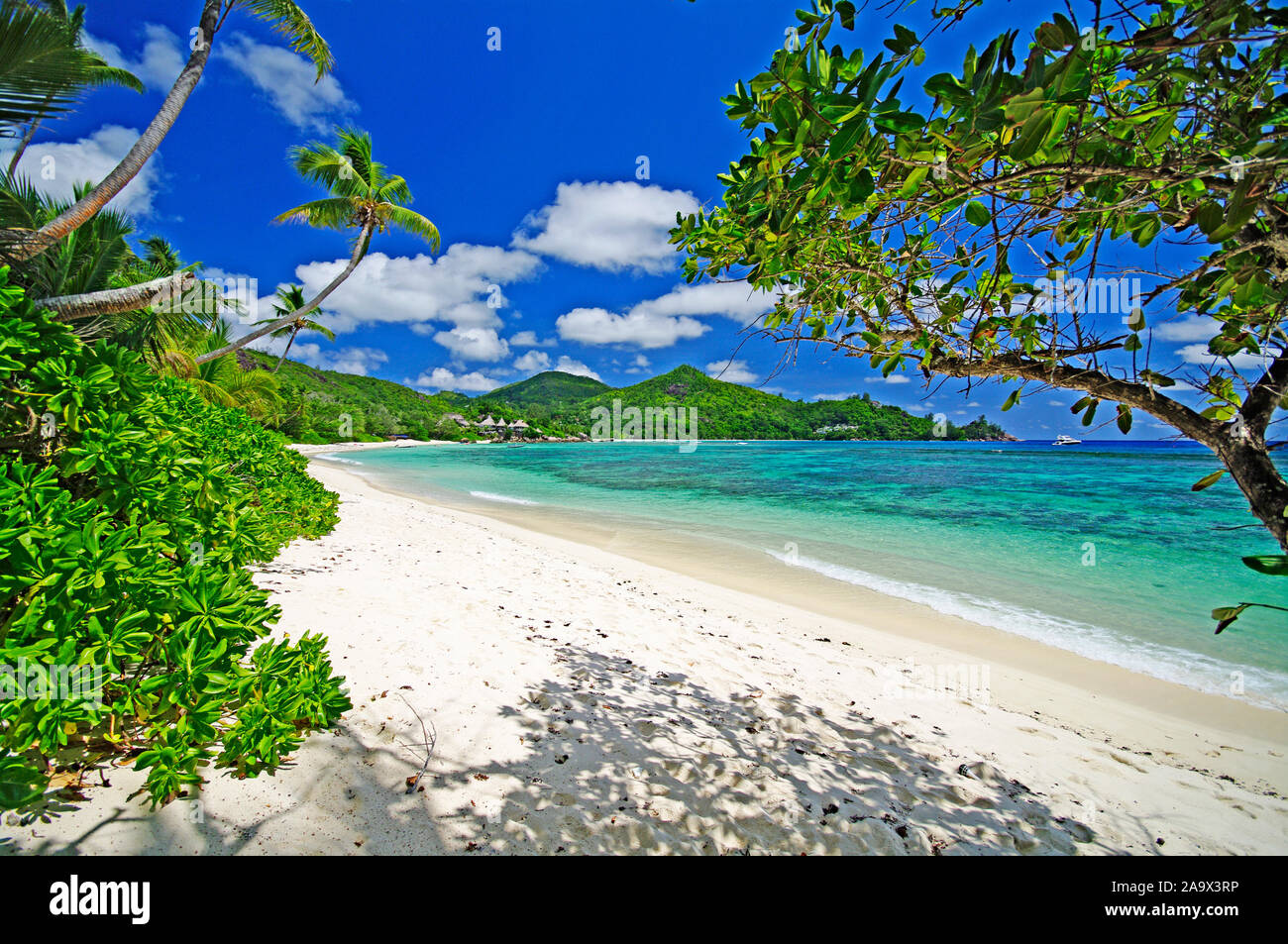 Paradiesischer Sandstrand mit Palmen und Granitfelsen an der Carana Bay, Mahe, Seychellen Stock Photo