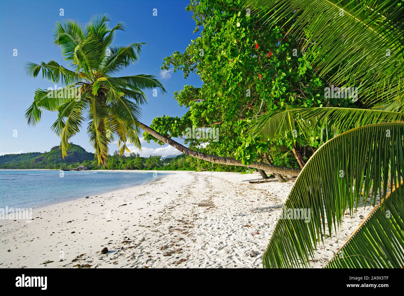 Paradiesischer Sandstrand mit Palmen und Granitfelsen an der Carana Bay ...