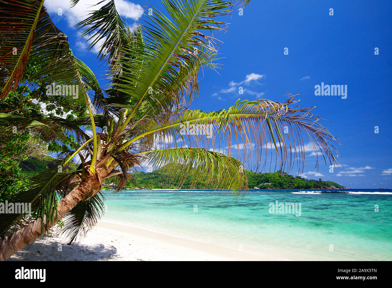 Schattiger Platz zum Ausruhen unter Palmen am Strand von Baie Lazare auf der Haupinsel der Seychellen, Mahe Stock Photo
