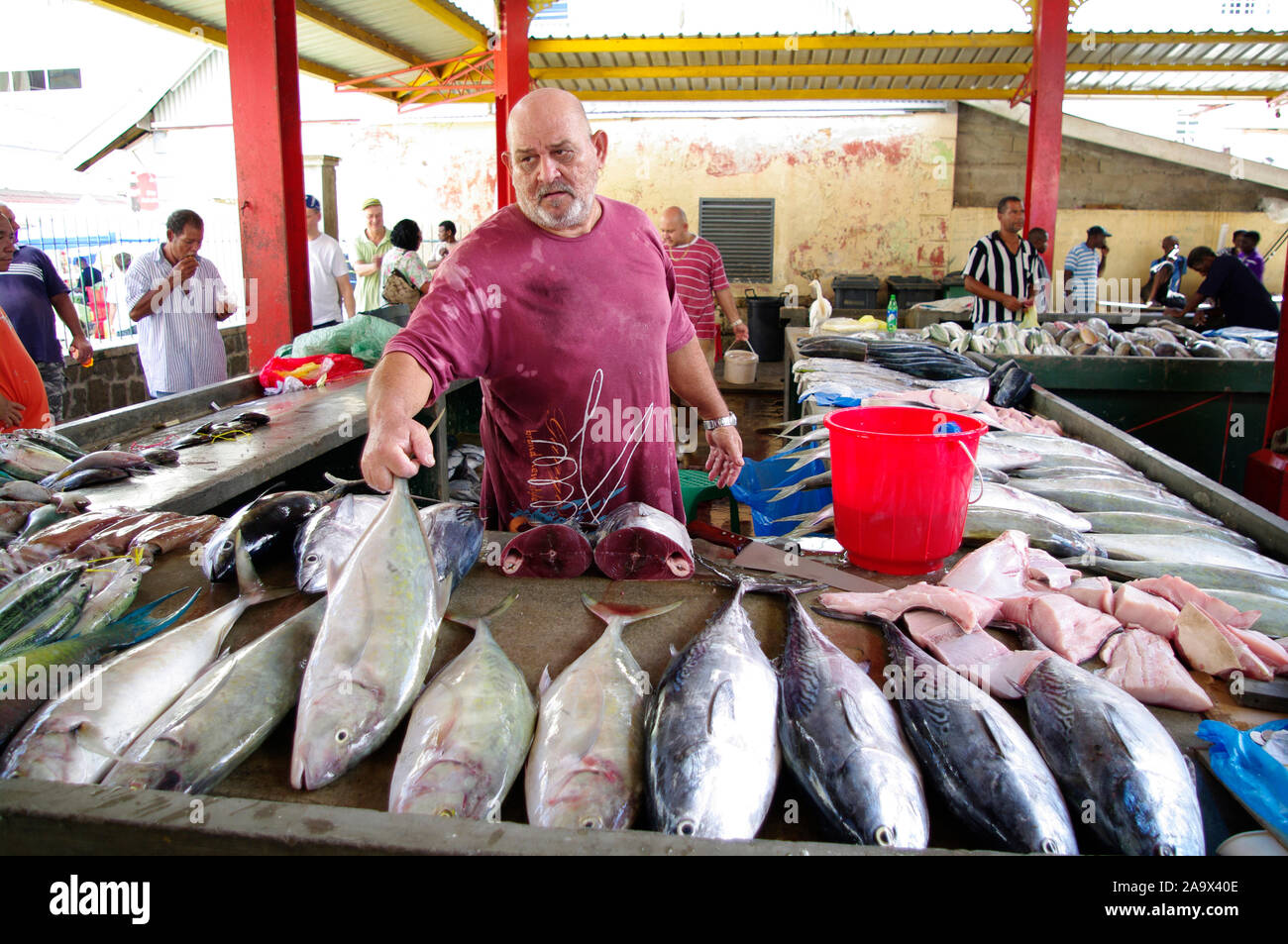 Händler auf dem Fischmarkt Sir Selwyn Selwyn-Clarke Market in Victoria mit Red Snapper / Malabar-Schnapper / Roter Schnapper / Lutjanus malabaricus, B Stock Photo