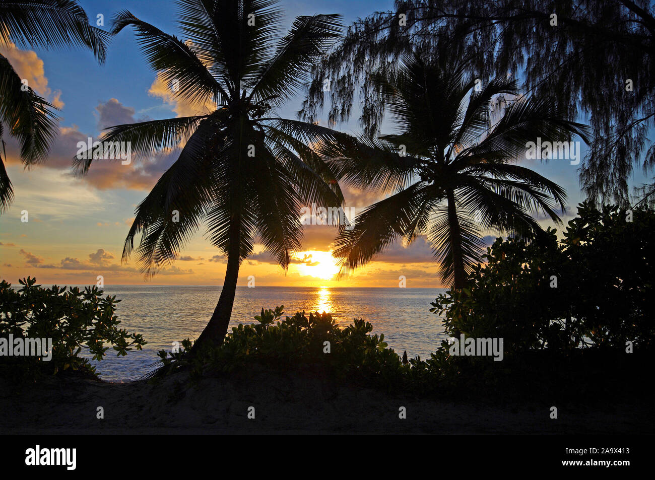 Silhouette von Palmen am Strand der Anse Takamaka, idyllische und romantische szene im Süden der Hauptinsel Mahe, Tropenparadies Seychellen Stock Photo