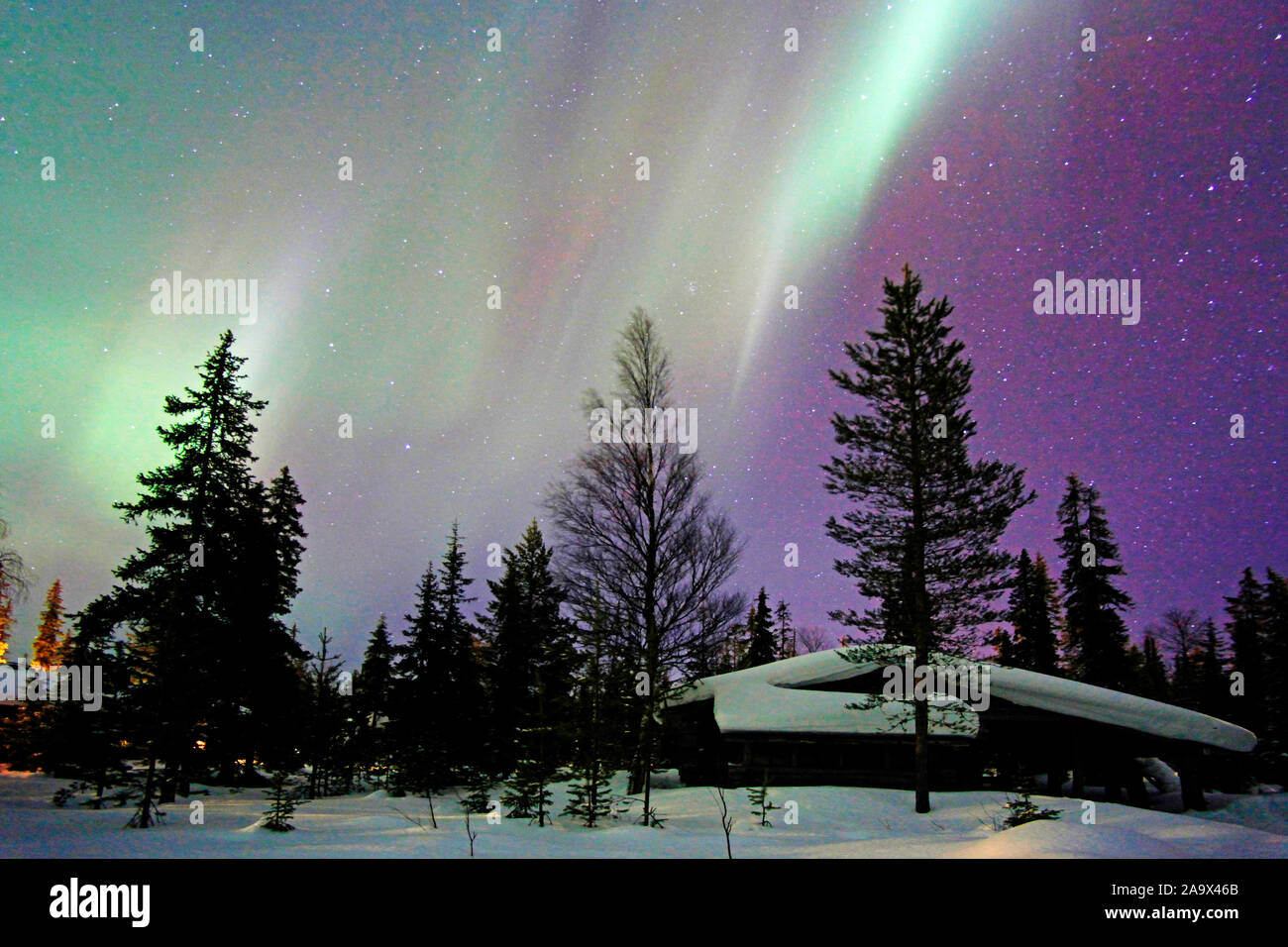 Grün leuchtende Aurora borealis über typischem Blockbolenhausf in schneebedeckter Landschaft, Lappland, Finnland Stock Photo