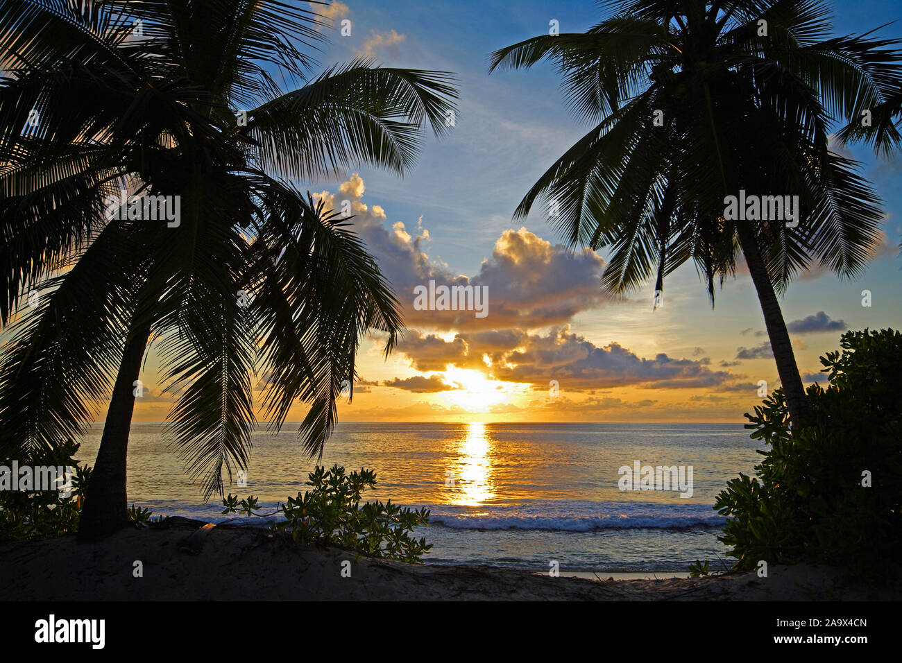 Silhouette von Palmen am Strand der Anse Takamaka, idyllische und romantische szene im Süden der Hauptinsel Mahe, Tropenparadies Seychellen Stock Photo