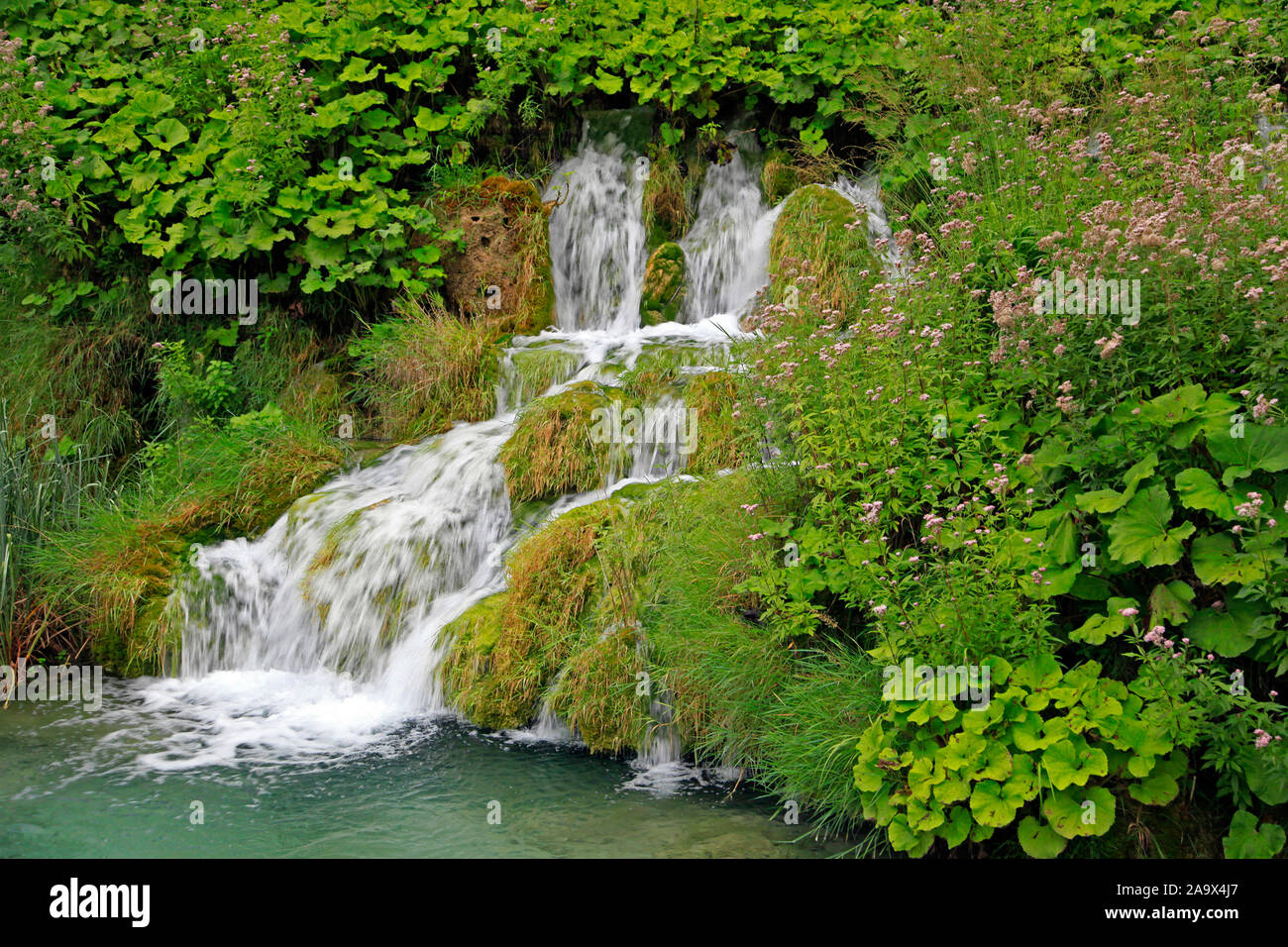 Kaskade eines Wasserfalls im Nationalpark Plitvicer Seen / Nacionalni park Plitvička jezera oder Plitvice, Kroatien Stock Photo