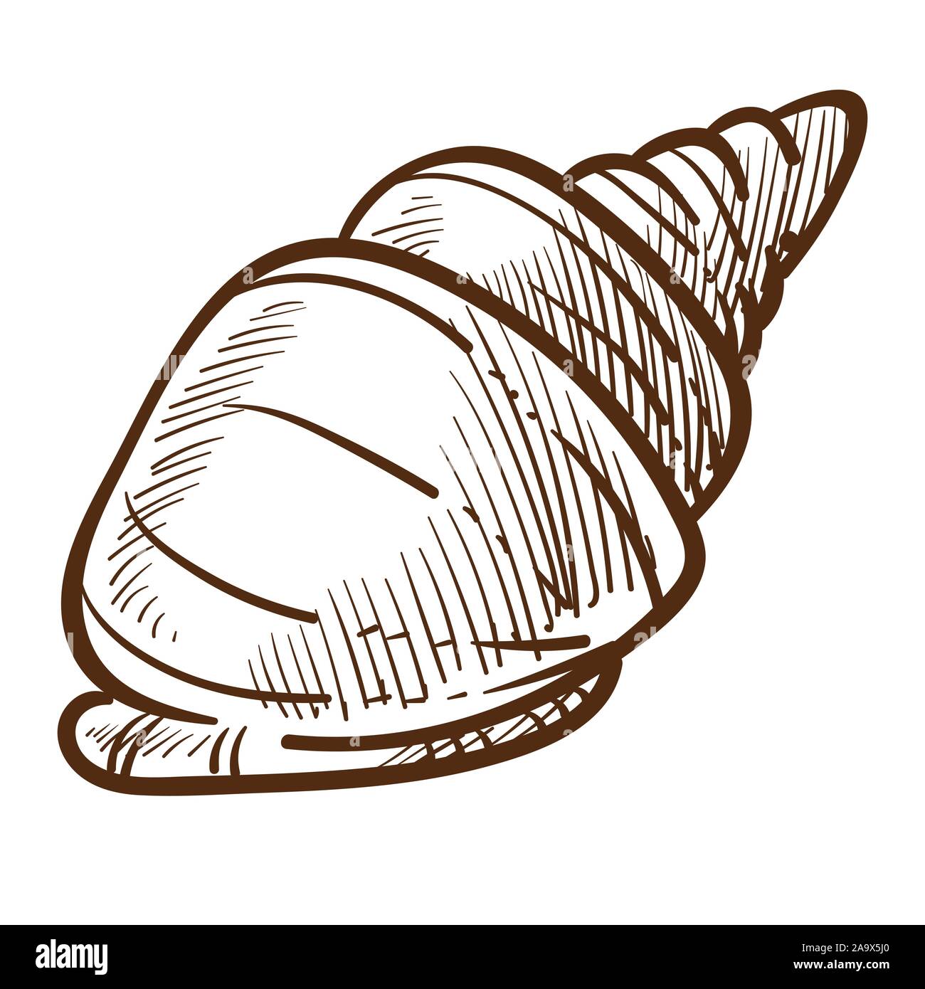 Conch or shell isolated sketch, spiral shellfish, underwater clam Stock Vector
