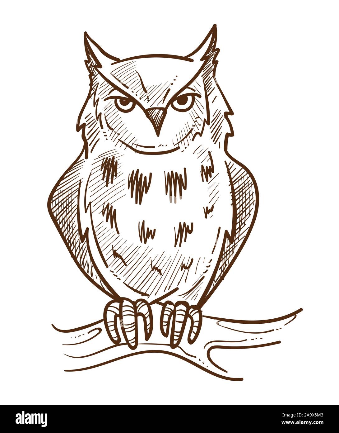 Forest animal, owl sitting on branch isolated sketch Stock Vector Image & Art Alamy