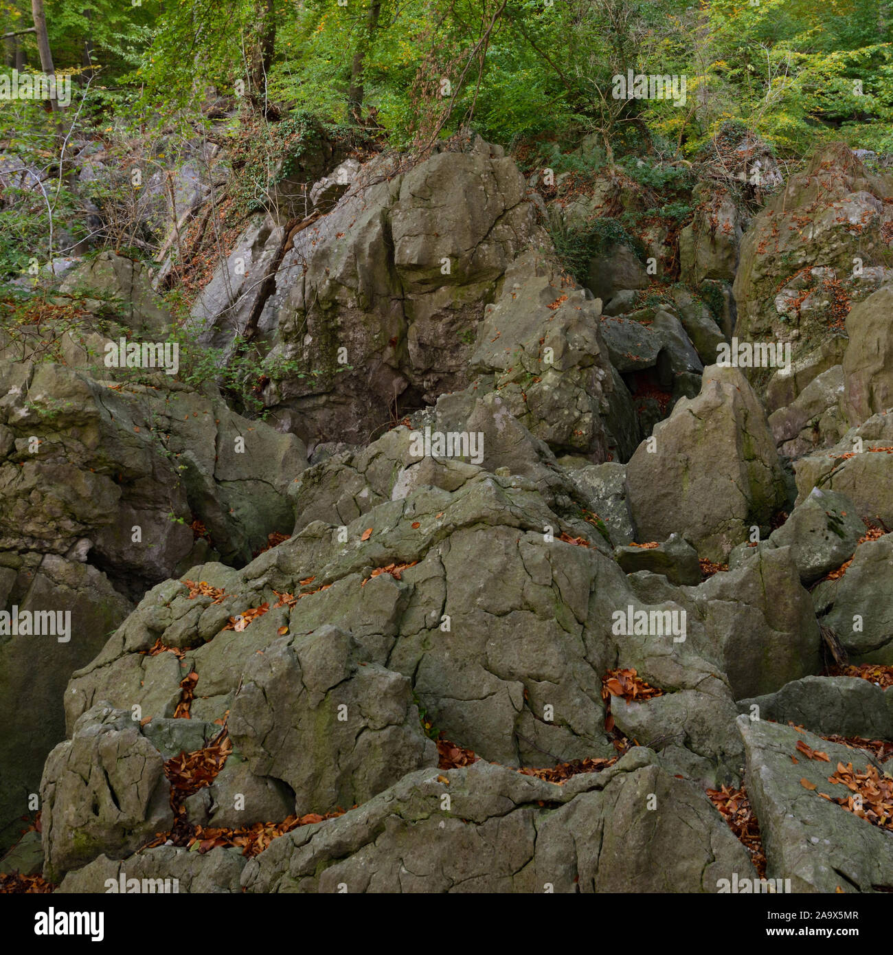 Felsenmeer, famous Nature Reserve, sea of rocks, rock chaos of Hemer, wildly romantic beech forest in autumn, fall, Germany, Europe. Stock Photo