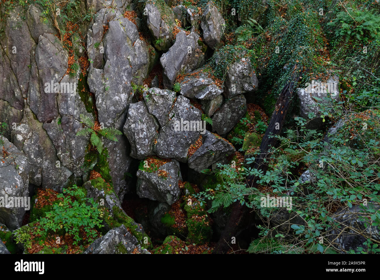 Felsenmeer, famous Nature Reserve, National Geotope, sea of rocks, rock chaos of Hemer, rock formation, in autumn, fall, Germany, Europe. Stock Photo