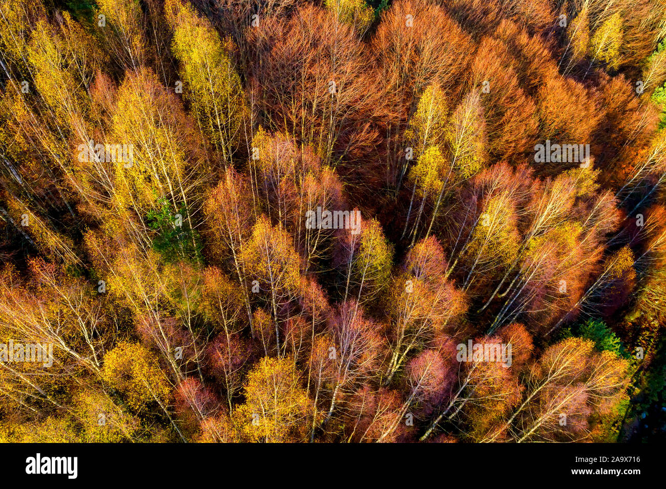 Aerial view of autumn hi-res stock photography and images - Alamy
