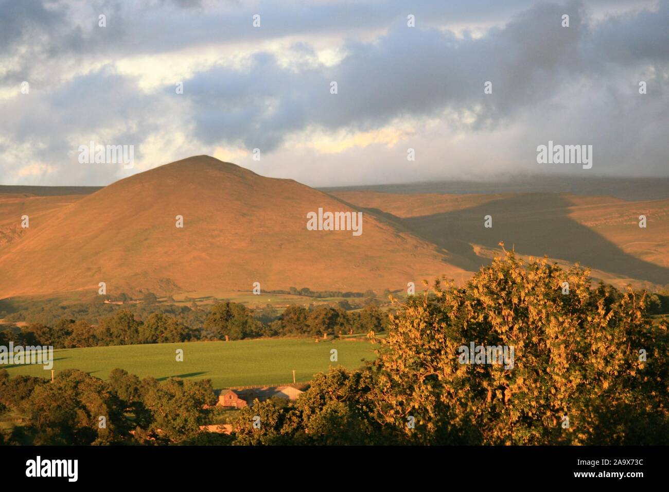 Summer evening. Eden Valley, Cumbria Stock Photo