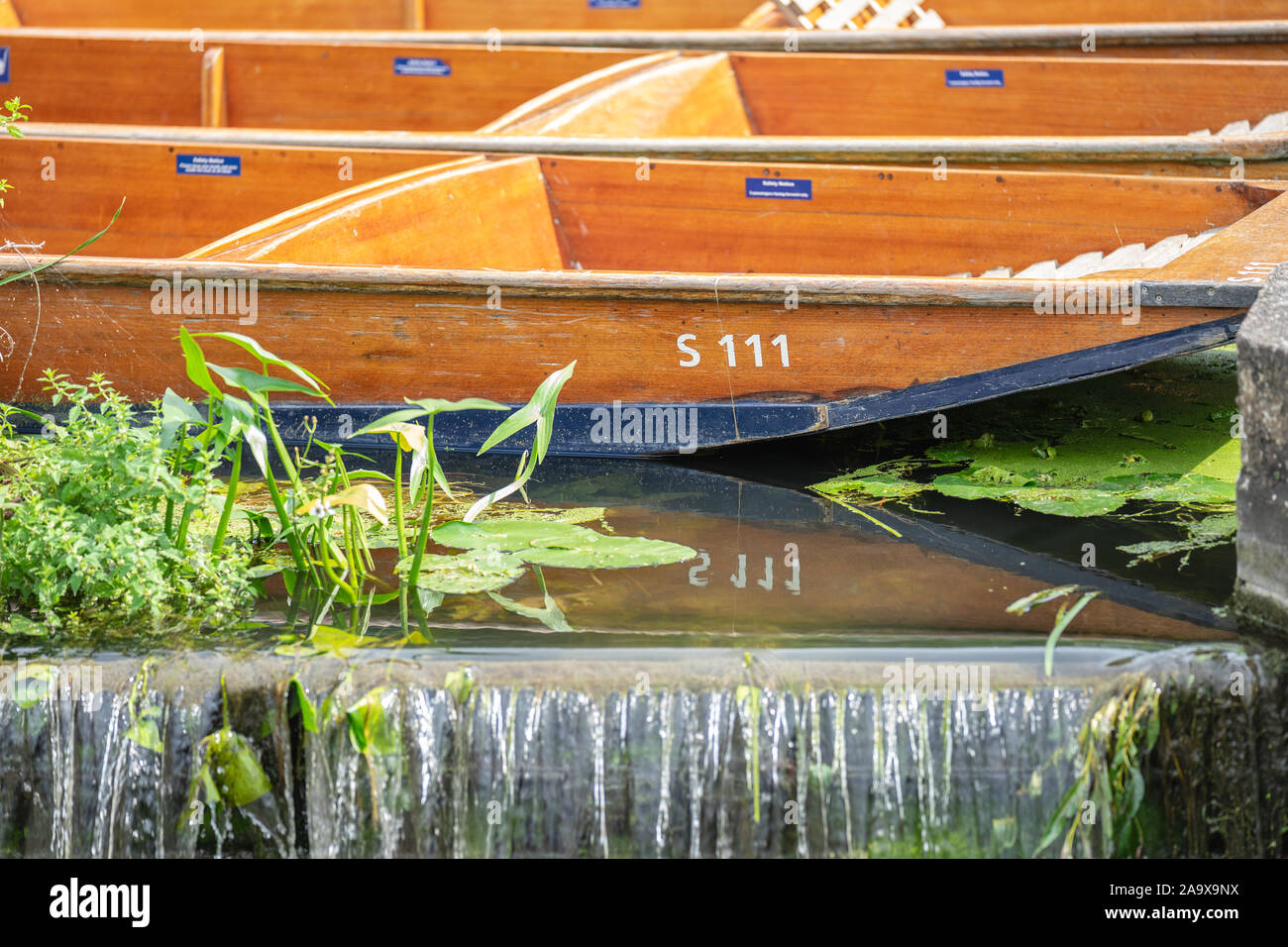 A punt is a flatbottomed boat with a squarecut bow, designed for use