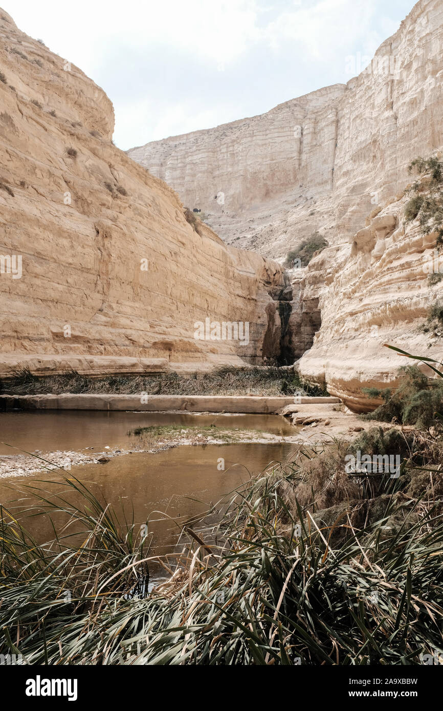 Ein Avdat National Park, Israel. 15th November, 2019. A natural waterfall and pool in the Tzin River at Ein Avdat National Park, a natural oasis in Israel's Negev Desert. Credit: Nir Alon/Alamy Live News. Stock Photo