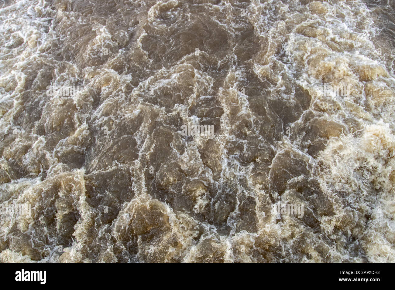 River in the Amazon Rainforest Stock Photo Alamy