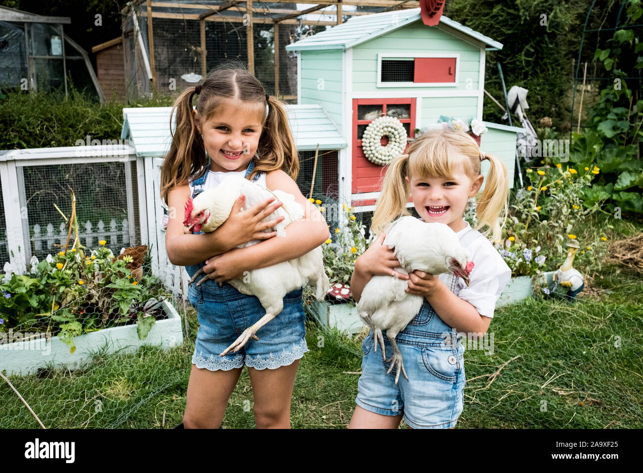 Two girls standing in front of hen house in a garden, holding white chickens, smiling at camera. Stock Photo