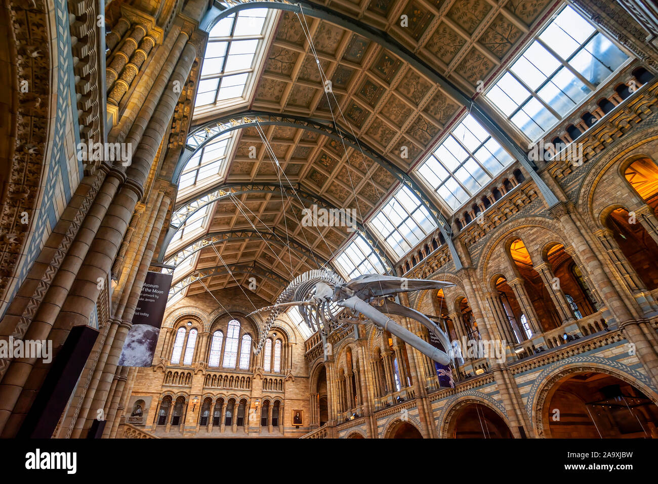 London, UK. Hall of Natural historical museum. Stock Photo