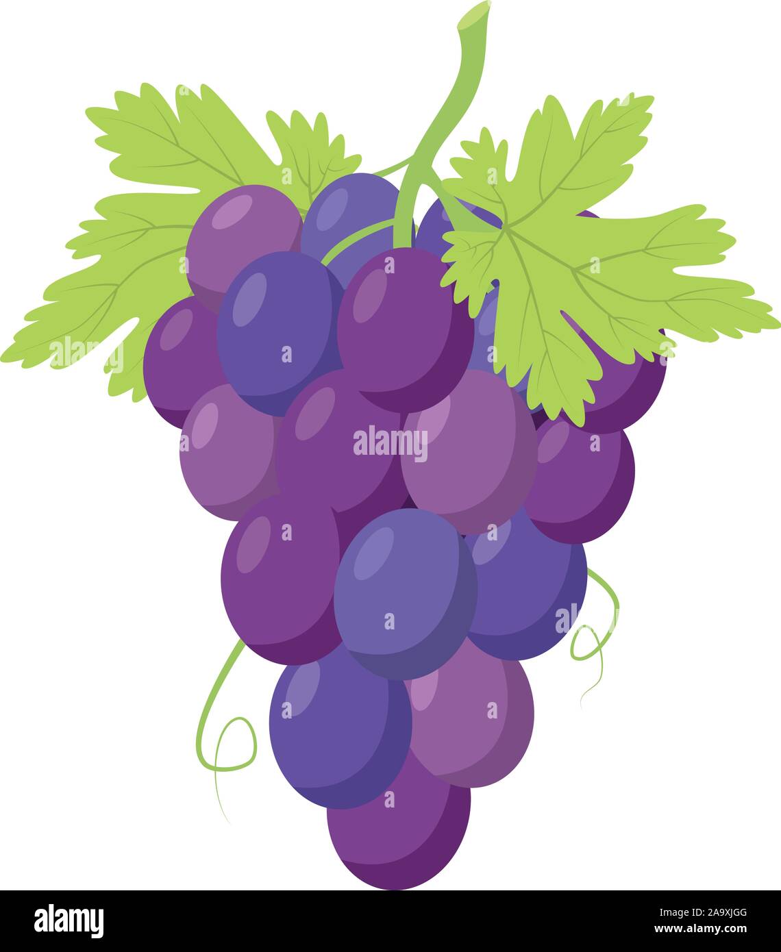 Vector illustration of a funny bunch of purple grapes in cartoon style