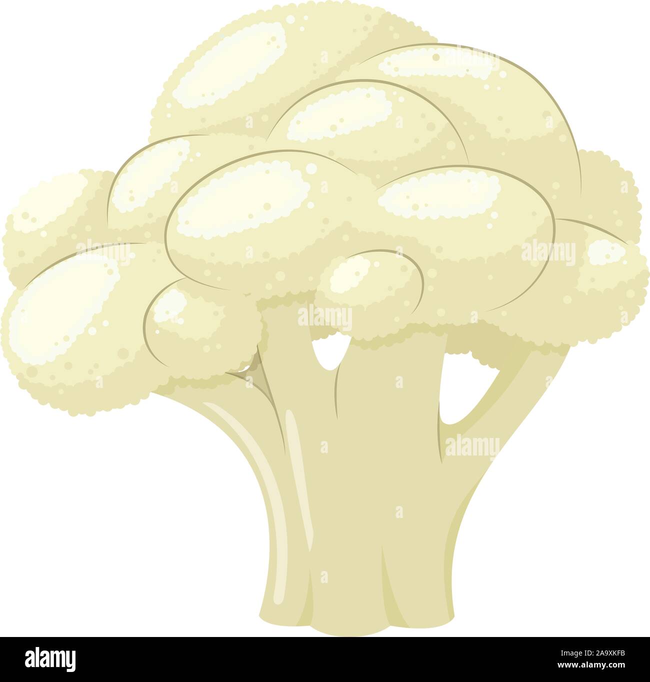 Vegetable cartoon cauliflower hi-res stock photography and images - Alamy