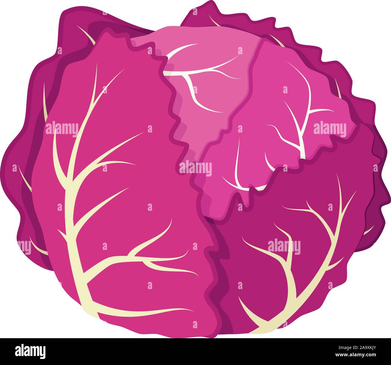 Vector illustration of a funny purple cabbage in cartoon style Stock