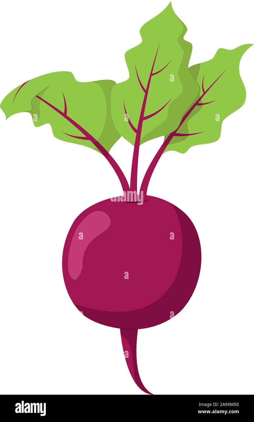 Vector illustration of a funny beet in cartoon style Stock Vector Image &  Art - Alamy
