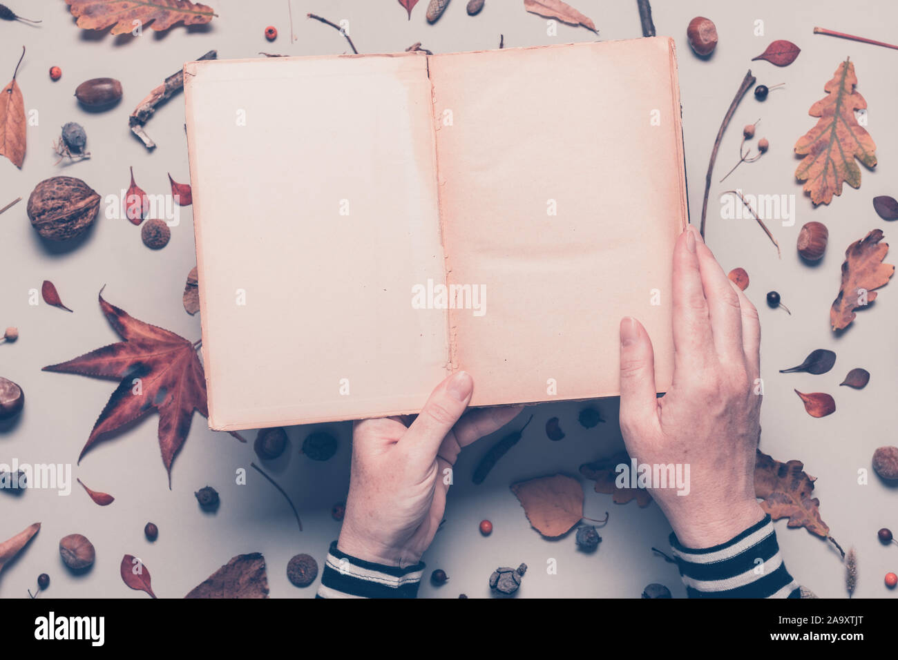 Woman holding blank book as mock up copy space, overhead shot with autumn decoration Stock Photo