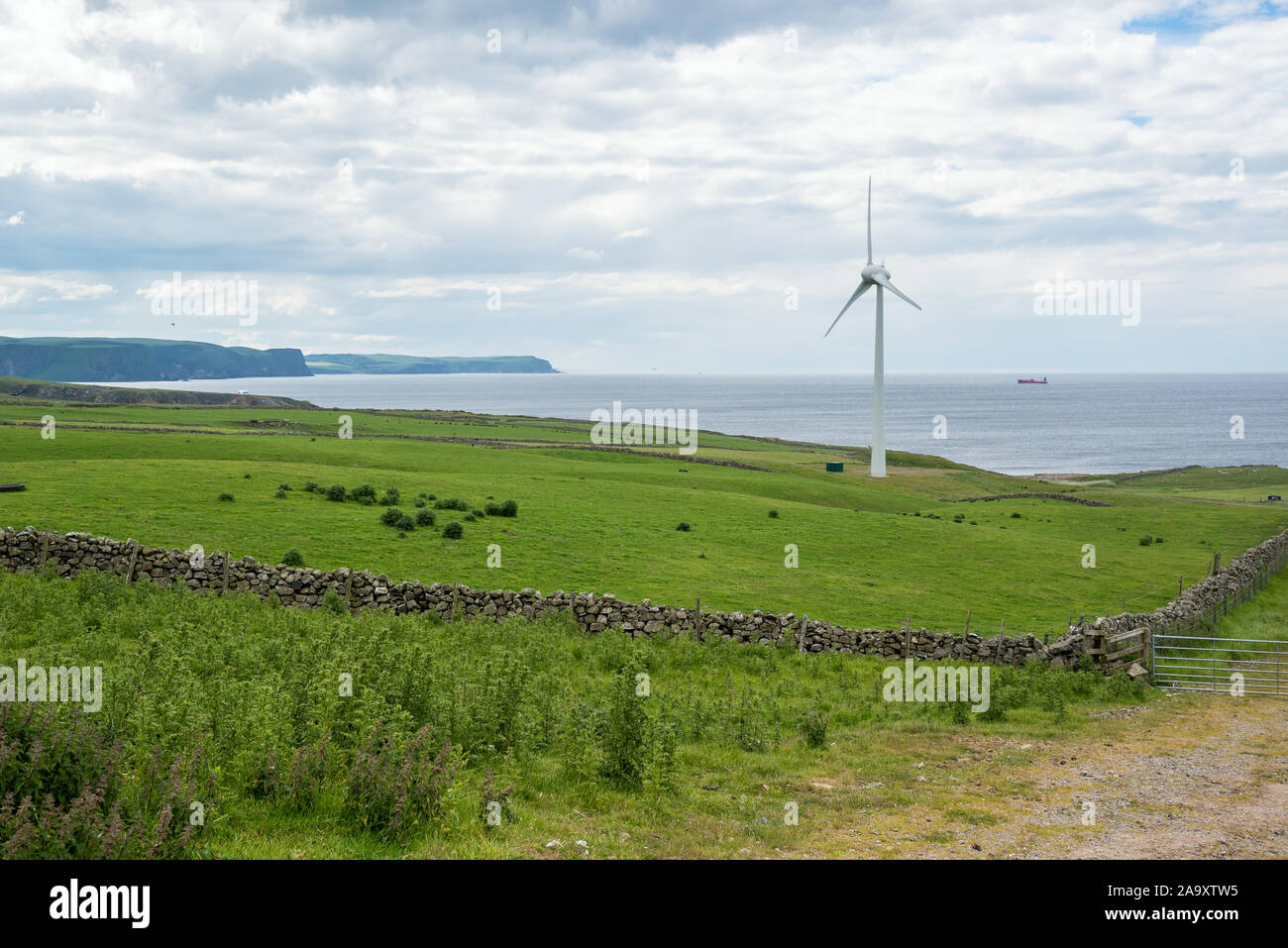 Wind turbine in walled field along the coast on a cloudy spring day. Towering cliffs are visible in background. Scotland, UK. Stock Photo