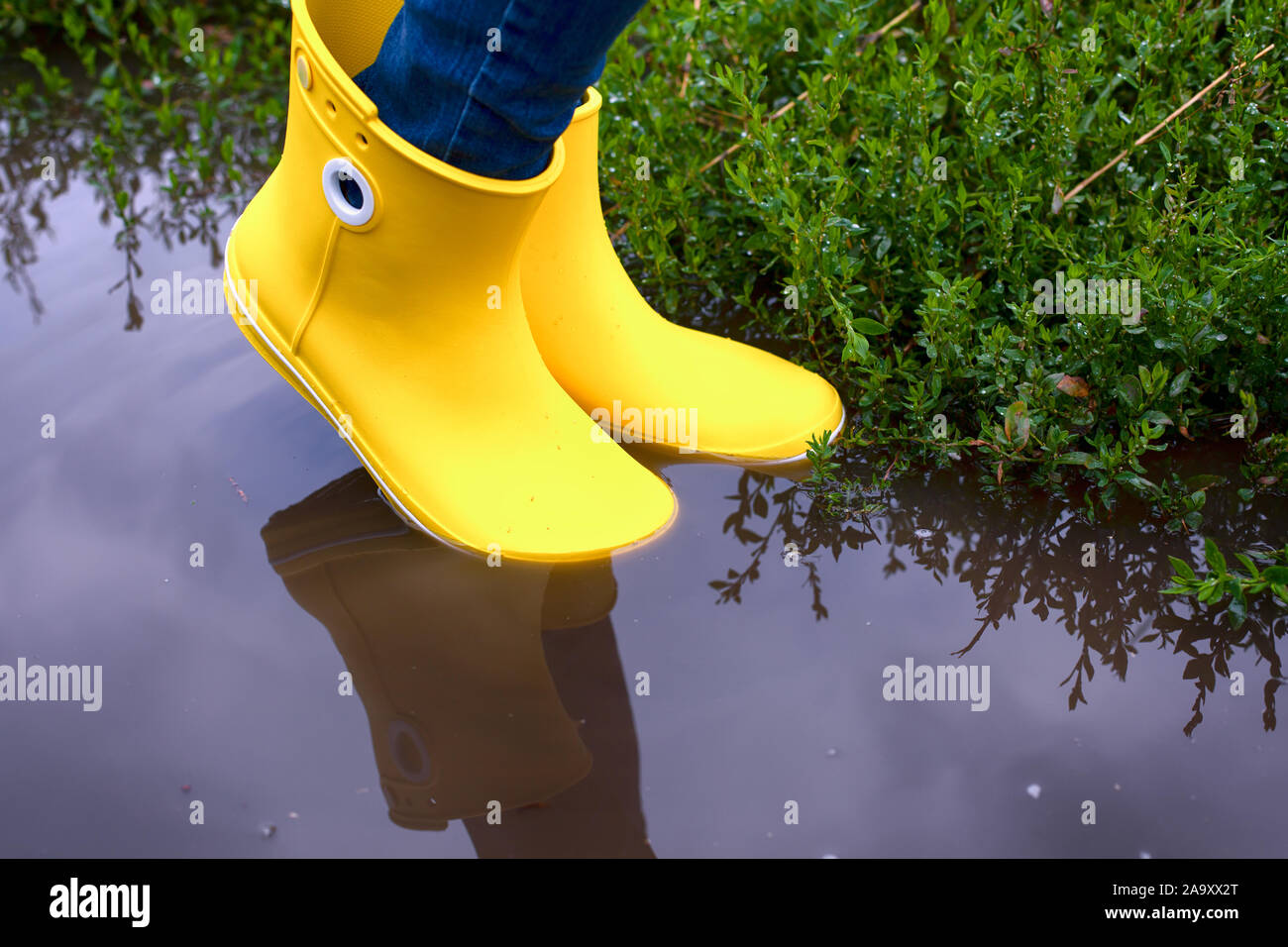Woman in yellow rubber boots standing in the puddle. Close-up Stock ...