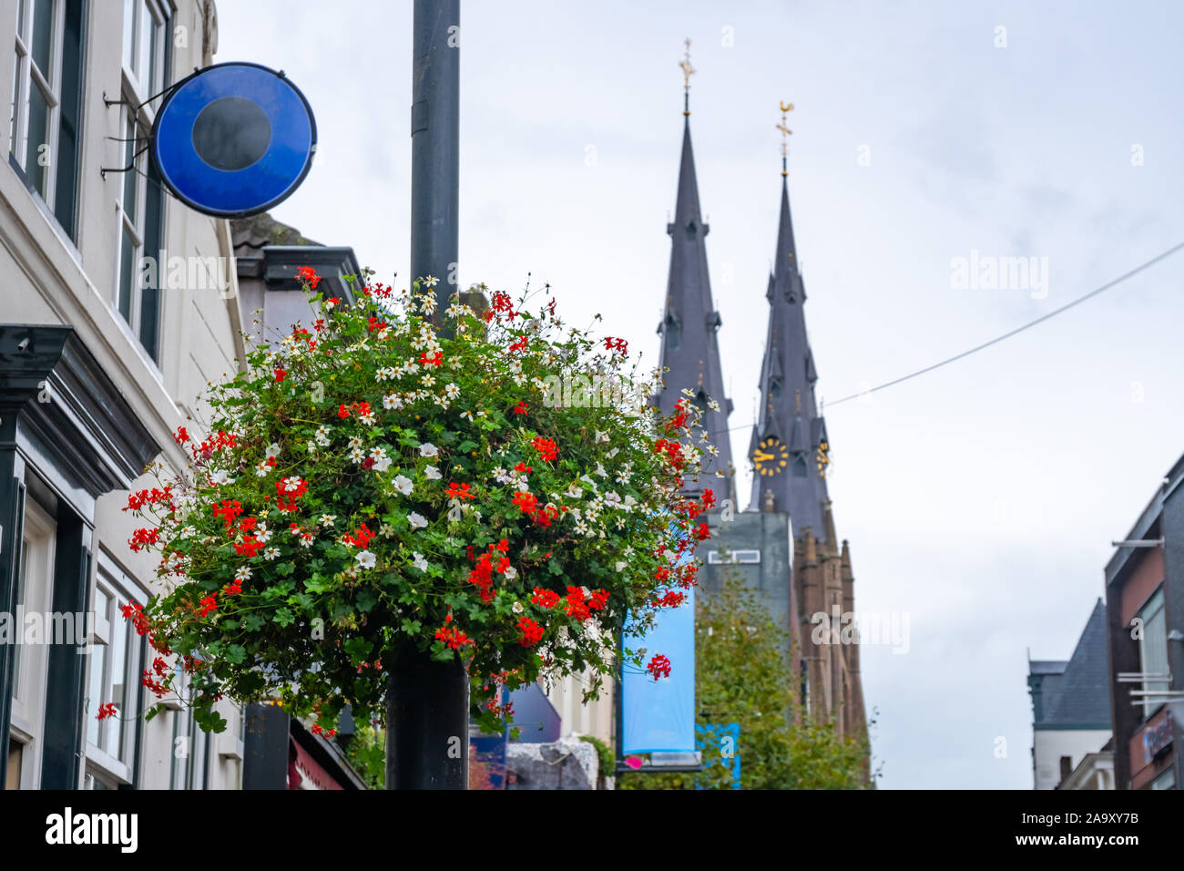 Outdoor floweres in Eindhoven, Netherlands Stock Photo Alamy