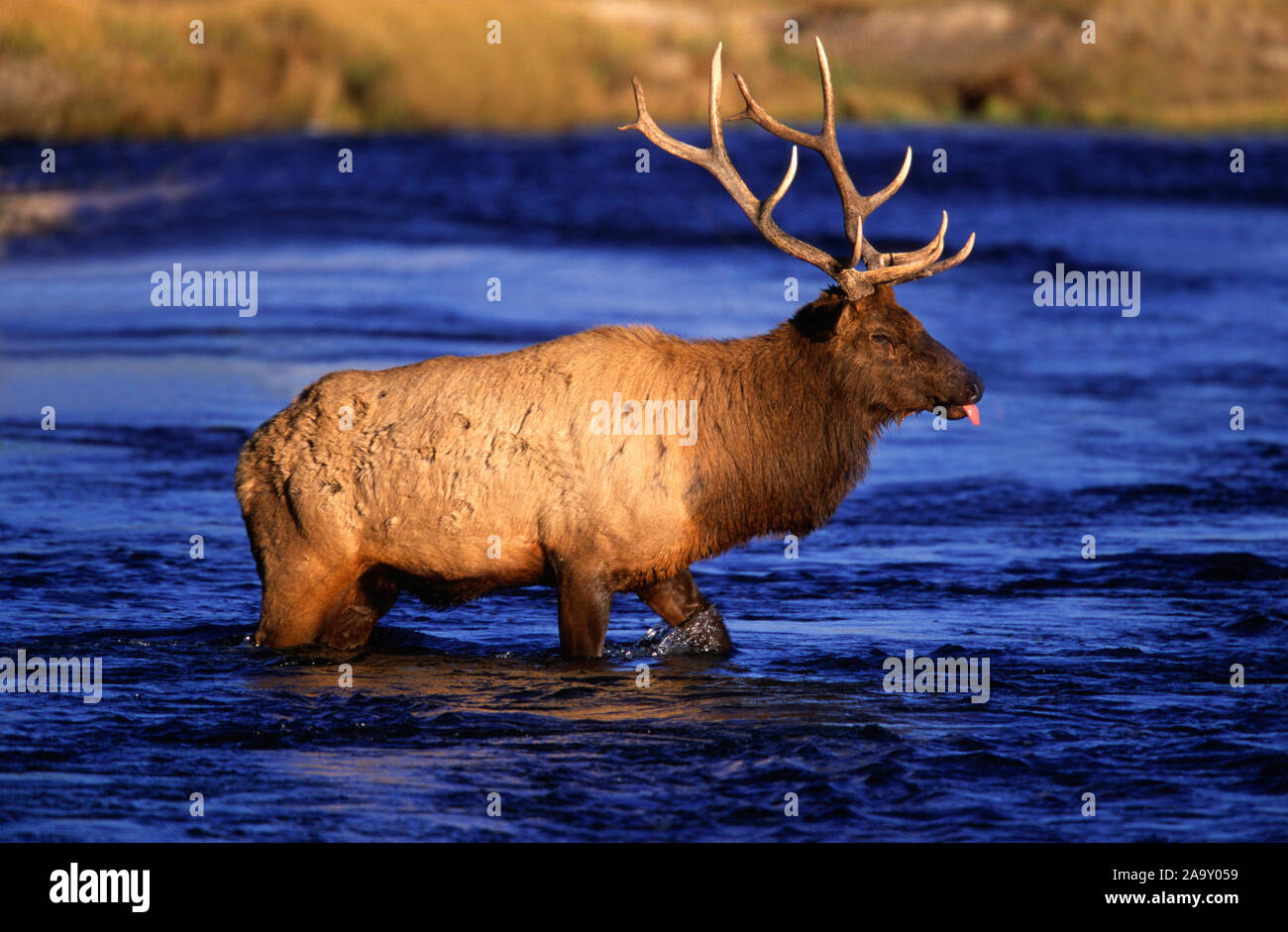 Durchwatet hires stock photography and images Alamy