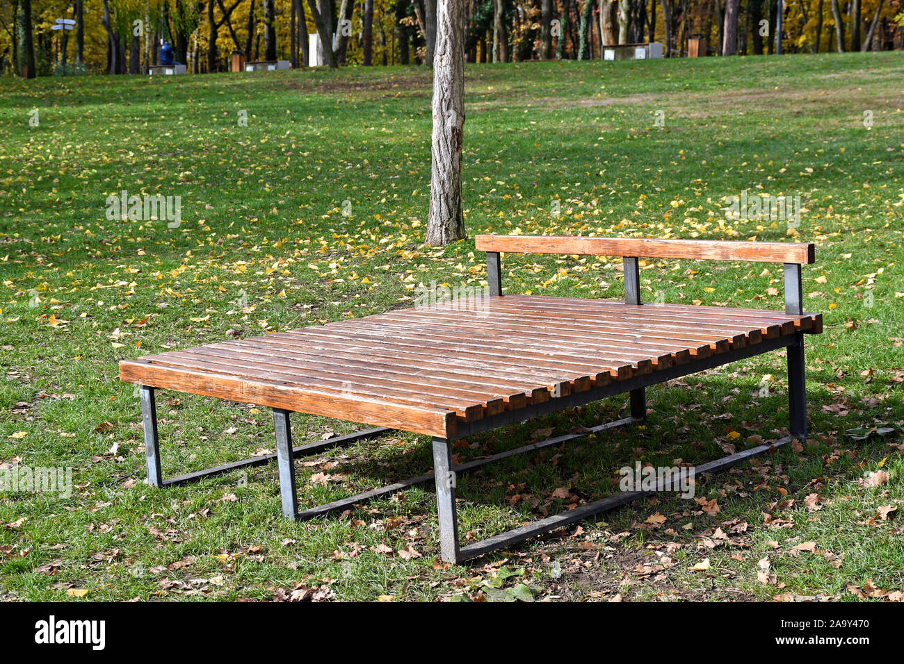 Deck in the woods hi-res stock photography and images - Alamy