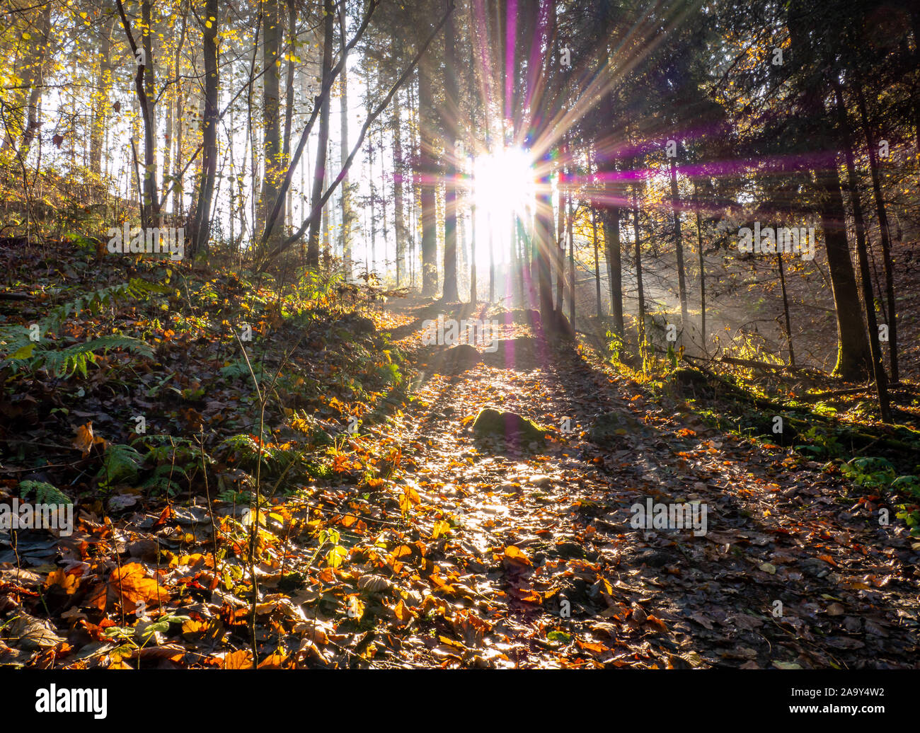 Mood morning hi-res stock photography and images - Alamy