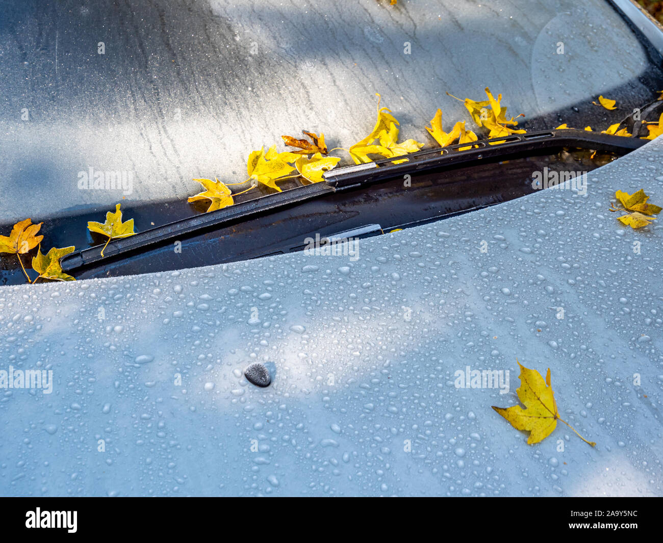 Frost On Car Window High Resolution Stock Photography and Images - Alamy