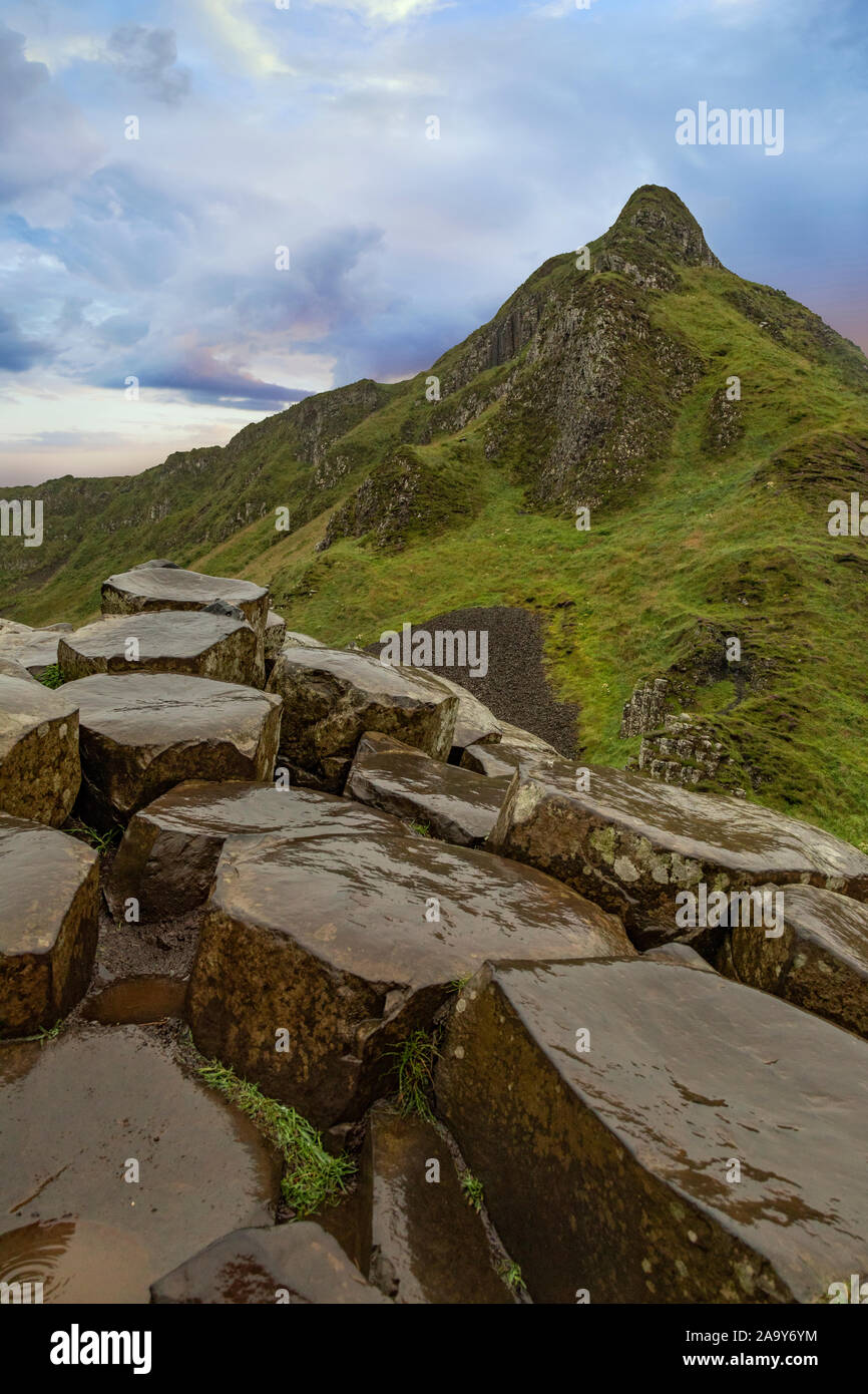 The Giant's Causeway at dawn on a sunny day with the famous basalt columns, the result of an ancient volcanic eruption. County Antrim on the north coa Stock Photo