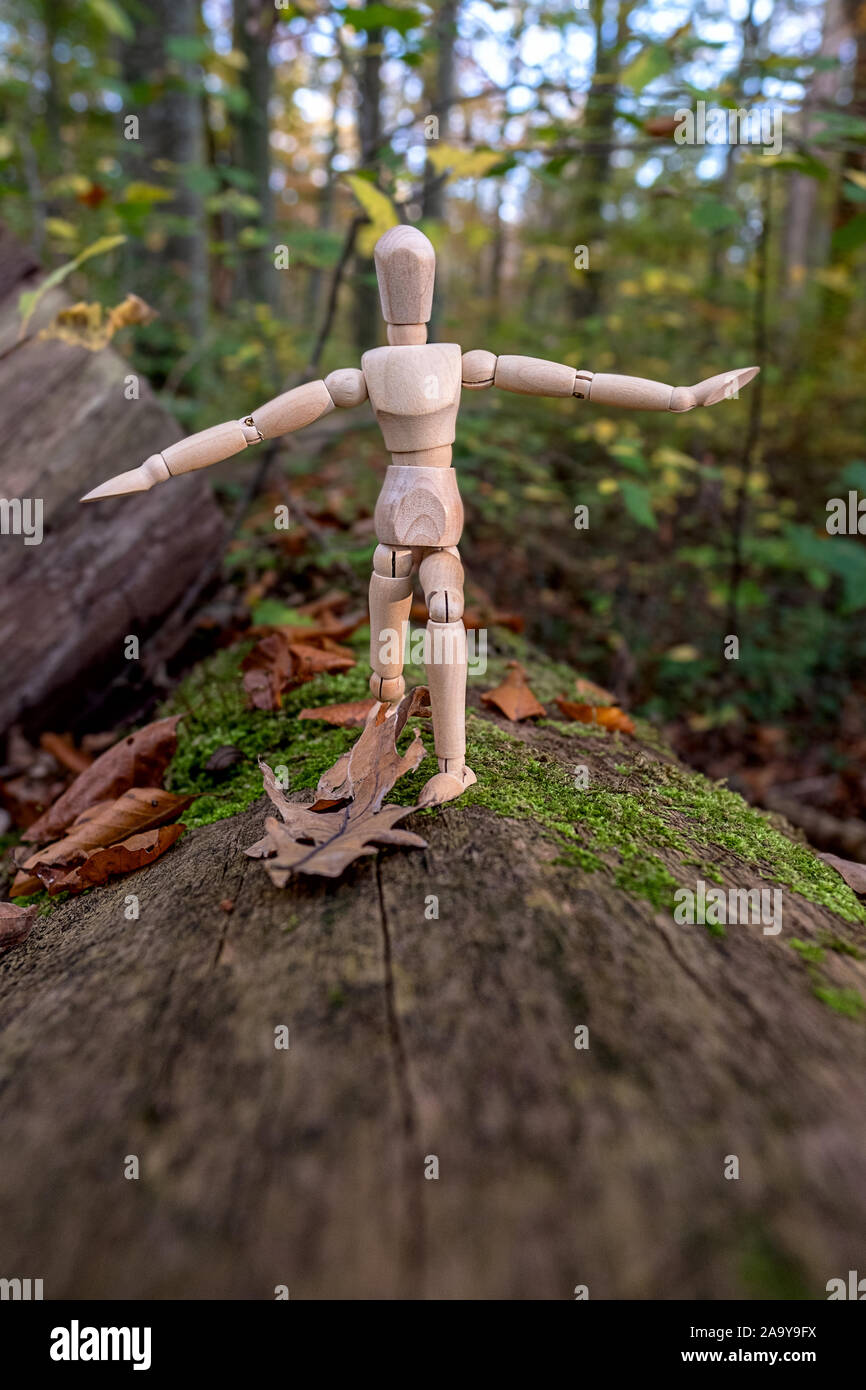 human and nature in balance, wooden puppet balancing in the forest on a fallen tree trunk in autumn Stock Photo