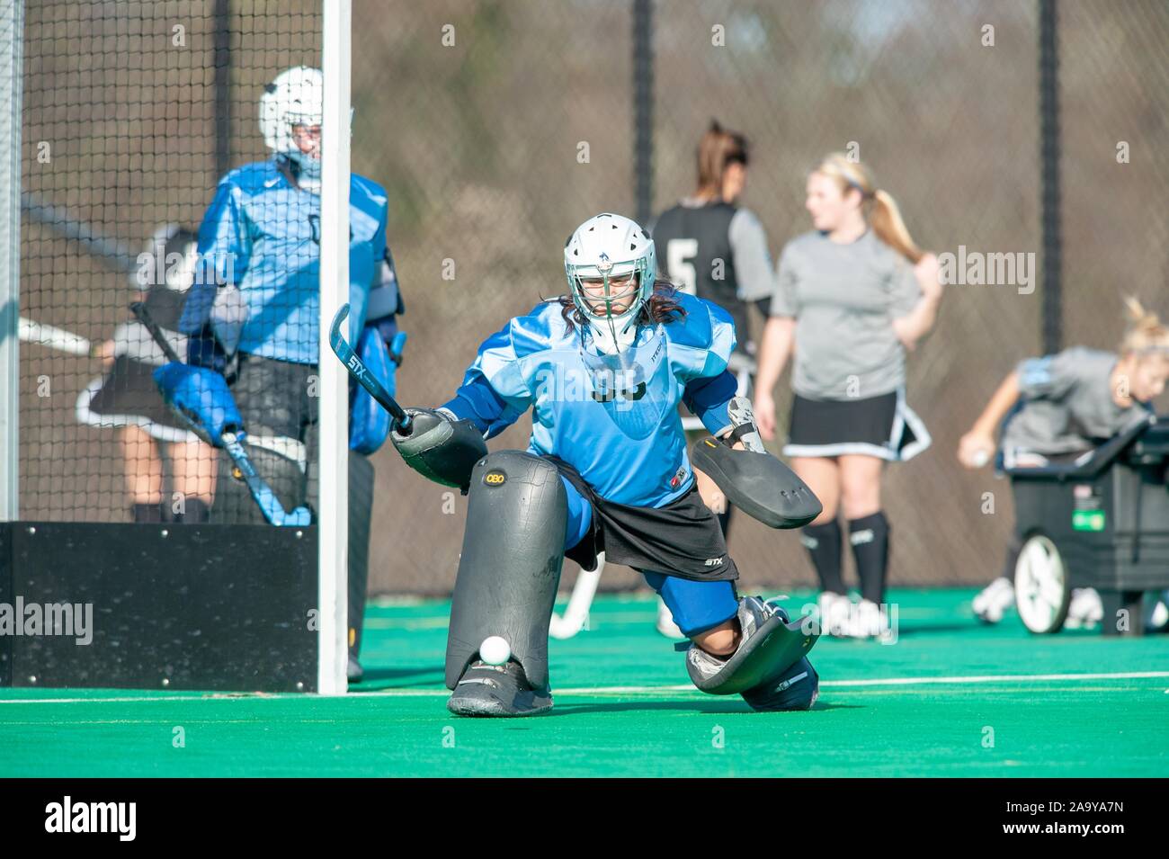 A Johns Hopkins University Women's Field Hockey goalie stretches near the net during a Centennial Conference semifinals match with Gettysburg College, November 7, 2009. From the Homewood Photography Collection. () Stock Photo