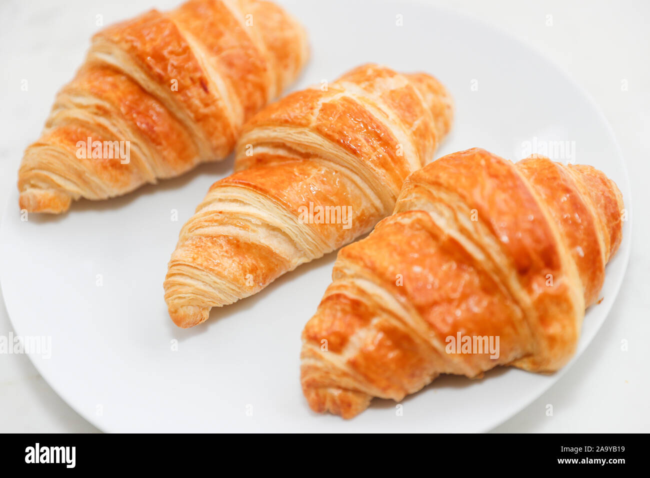 Plain croissant on white background - Image Stock Photo