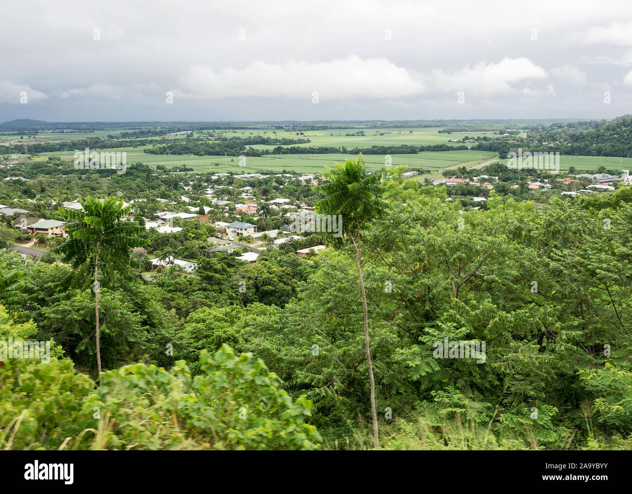 Skyrail above the rain forest Stock Photo