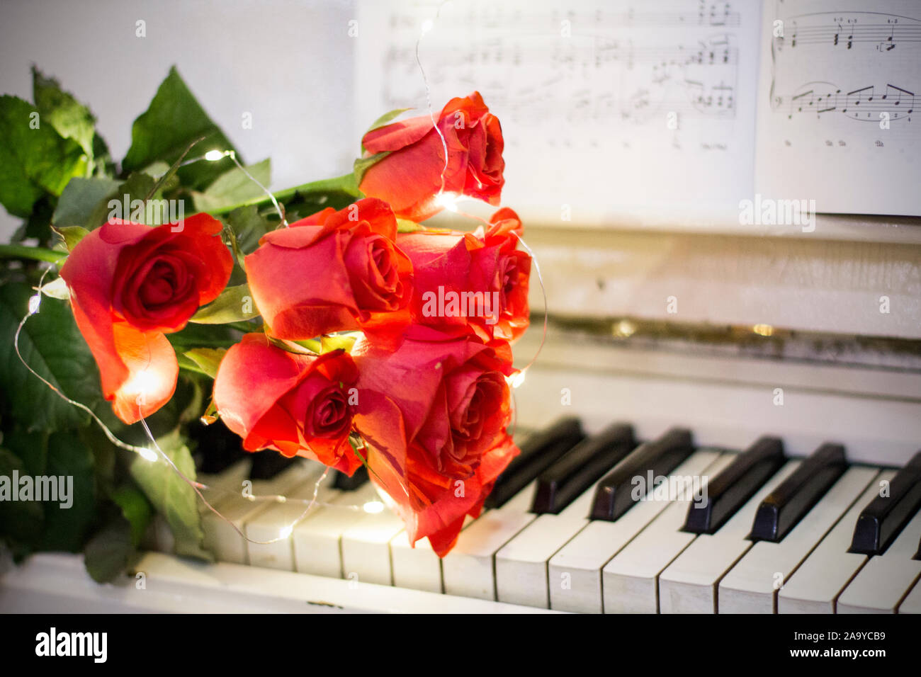 Red roses on a white piano with notes and garlands Stock Photo - Alamy
