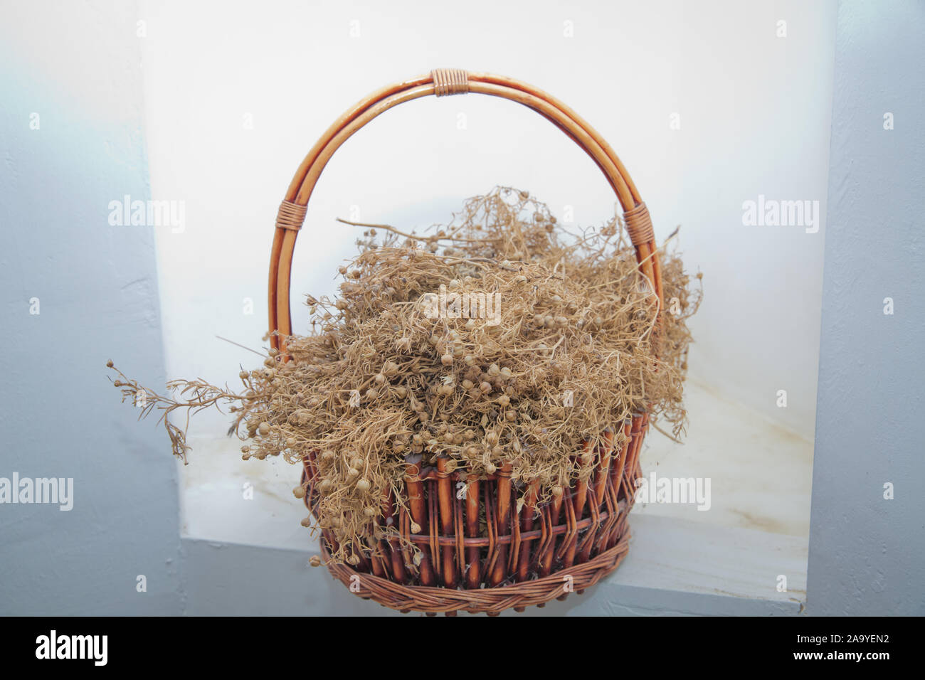 Peganum harmala herb, medicinal herbs, herbal plants, medicinal plants . Dried Harmal on display in the basket . Dried Peganum harmala are hung in Stock Photo