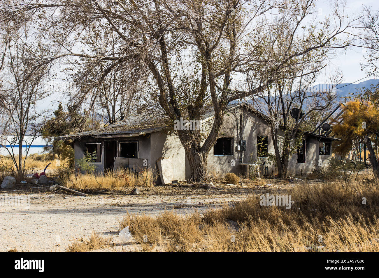 Abandoned Overgrown Home With No Windows Stock Photo Alamy